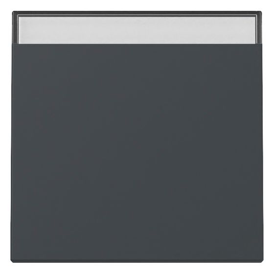 Gira Wippe BSF System 55, Anthrazit, 329928