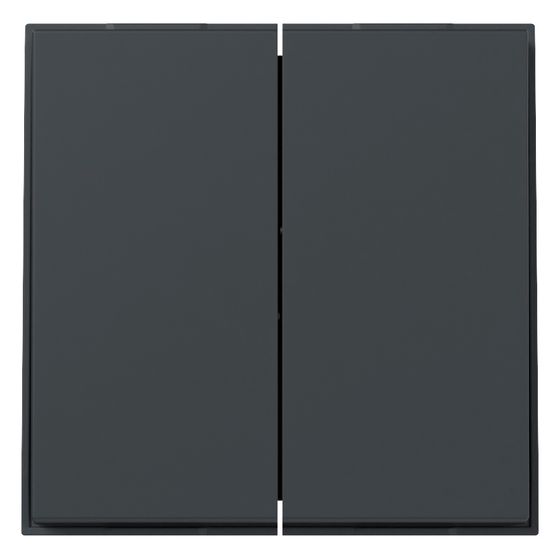 Gira Wippe 2-fach gerade TX_44, Thermoplast, Anthrazit, 349567