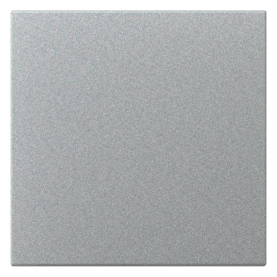 Gira Wippe System 55, gerade, Alu, 349626