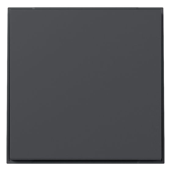 Gira Wippe gerade TX_44, IP44, Anthrazit, 349667