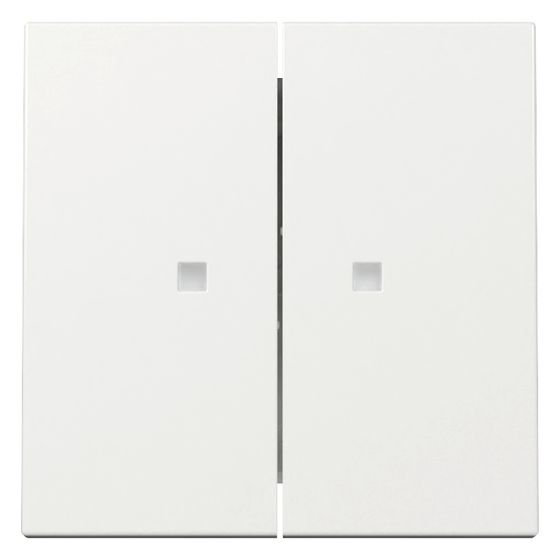 Gira Wippe System 55 363103, 2-fach, Kontrollfenster, Reinweiß