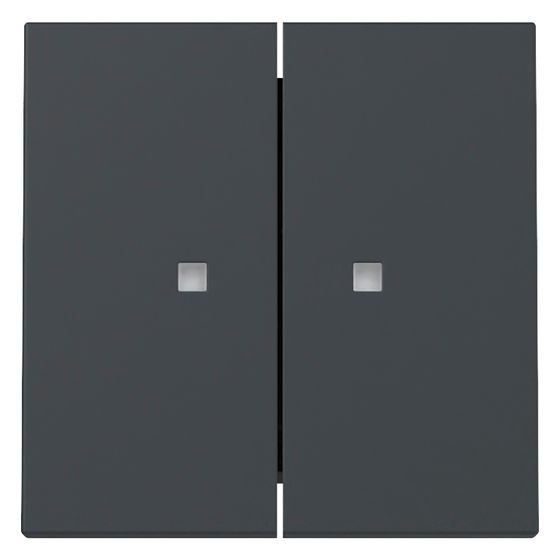 Gira Wippe 2-fach System 55, Kontrollfenster, Anthrazit, 363128