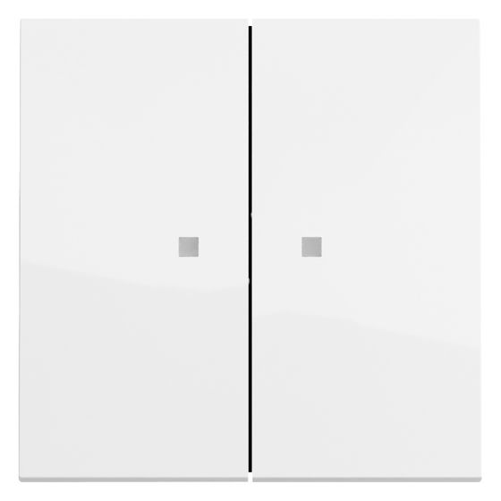 Gira Wippe 2-fach, Kontrollfenster, Reinweiß glänzend, 363170