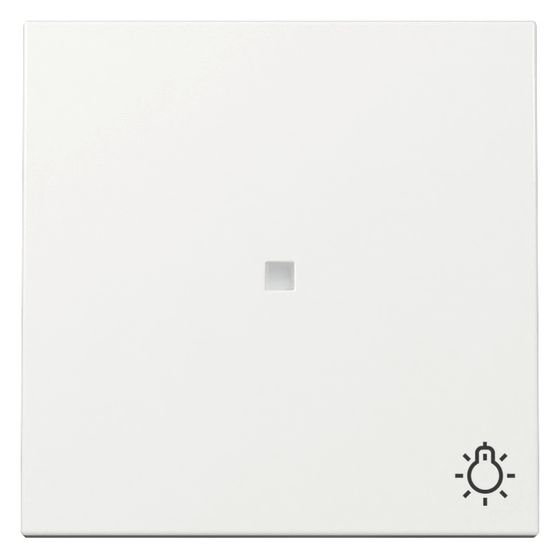 Gira Wippe System 55, Kontrollfenster, Symbol Licht, Reinweiß glänzend, 367403