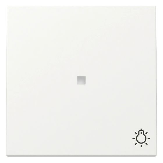 Gira Wippe System 55, mit Kontrollfenster und Symbol Licht, Reinweiß seidenmatt, 367427