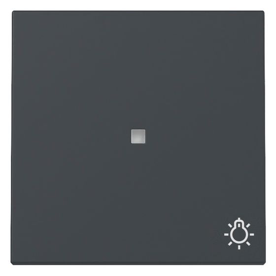 Gira Wippe System 55, mit Kontrollfenster und Symbol Licht, Anthrazit, 367428