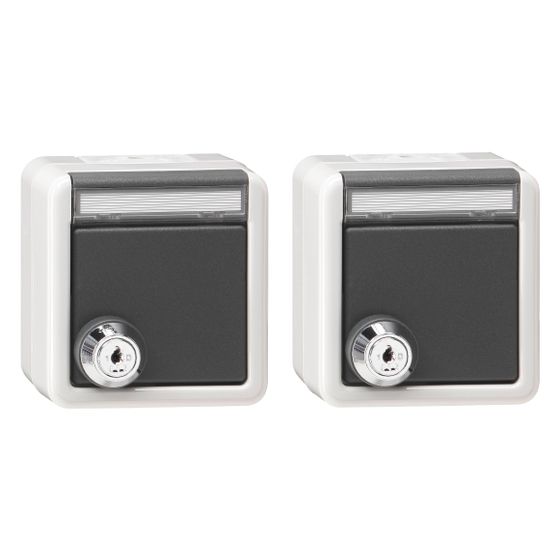 Gira Steckdosen-Set, 2-fach, 16A 250V, mit Klappdeckel, Schloss, Beschriftungsfeld, Aufputz, Grau, 456030