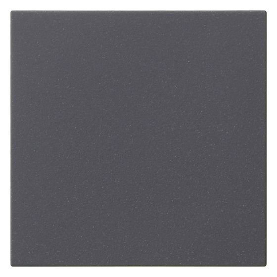 Gira Bedienaufsatz System 3000 System 55, Anthrazit, 536028