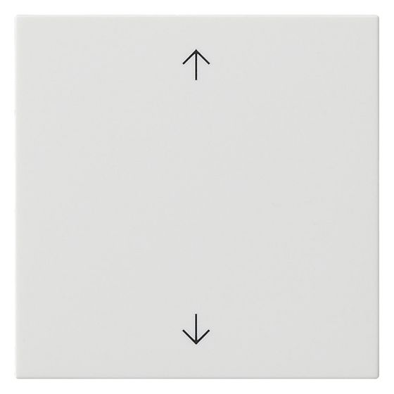 Gira Bedienaufsatz System 3000, Pfeilsymbole, System 55, Reinweiß glänzend, 536103
