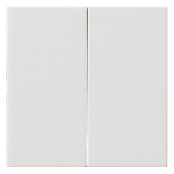 Gira Bedienaufsatz System 3000 2-fach, System 55, Reinweiß, 536203