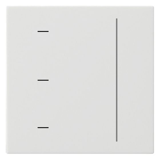 Gira Touchaufsatz System 3000 System 55, Reinweiß, 536503