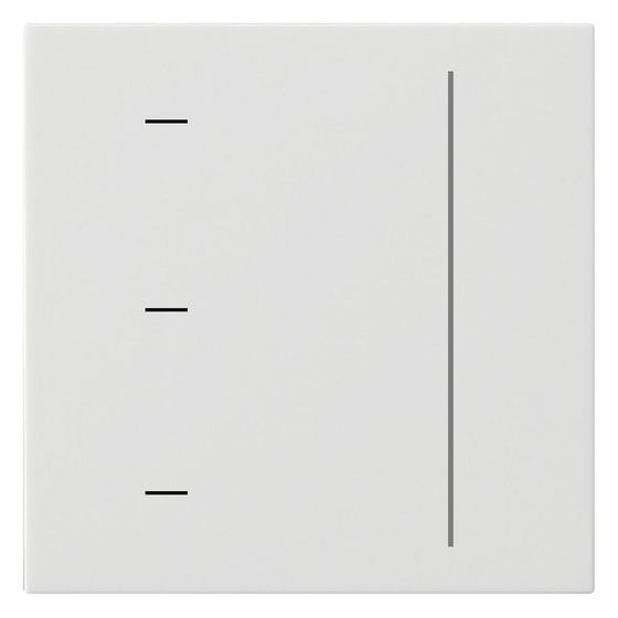 Gira Touchaufsatz System 3000 System 55, Reinweiß seidenmatt, 536527