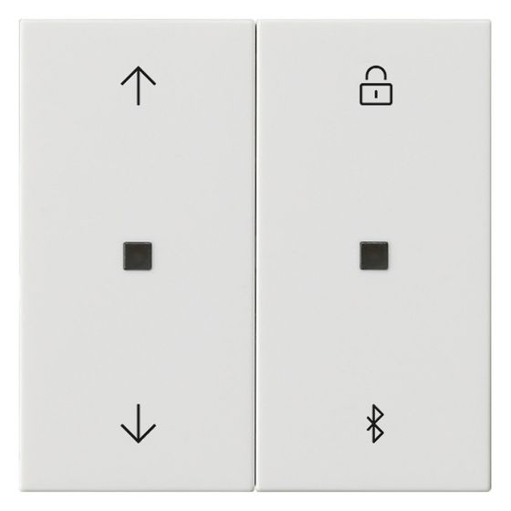 Gira Jalousie- und Schaltuhr System 3000 Bluetooth, System 55, Reinweiß, 536703