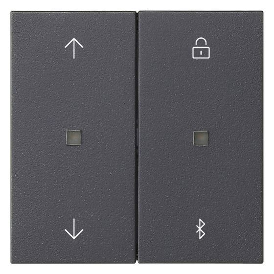 Gira Jalousie- und Schaltuhr Bluetooth System 3000, System 55, Anthrazit, 536728