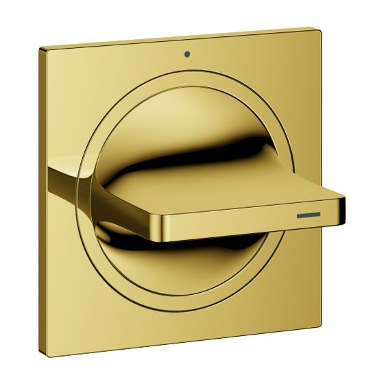 Grohe Allure Unterputz-Ventil Oberbau Cool Sunrise ohne Unterputz-Einbaukörper, Hebelgriff