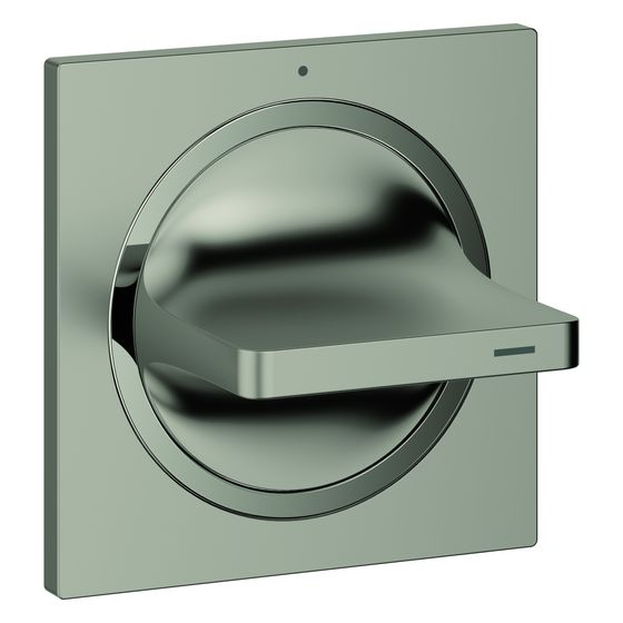 Grohe Allure UP-Ventil Oberbau mit Hebelgriff, Rosette mit Wandabdichtung, schraubbar, Satin Steel, 19334MS1