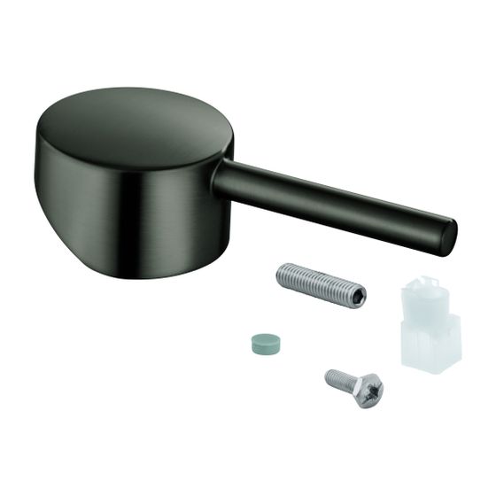 Grohe Hebel für Minta Einhand-Spültischbatterie, Hard Graphite gebürstet, 46015AL0