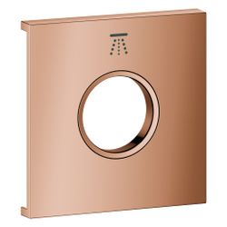 Grohe Grohtherm Aqua Tiles Metallplatte, Symbol Kopfbrause 3 für Grohtherm Aqua Tiles... GROHE-106889DA00 4067393073796 (Abb. 1)