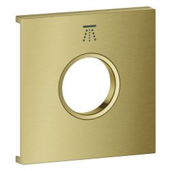 Grohe Grohtherm Aqua Tiles Metallplatte, Symbol Kopfbrause 3 für Grohtherm Aqua Tiles... GROHE-106889GN00 4067393073765 (Abb. 1)