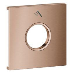 Grohe Grohtherm Aqua Tiles Metallplatte, Symbol Handbrause für Grohtherm Aqua Tiles U... GROHE-106891DL00 4067393073895 (Abb. 1)
