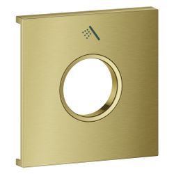 Grohe Grohtherm Aqua Tiles Metallplatte, Symbol Handbrause für Grohtherm Aqua Tiles U... GROHE-106891GN00 4067393073871 (Abb. 1)