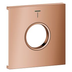 Grohe Grohtherm Aqua Tiles Metallplatte, Symbol Kopfbrause 4 für Grohtherm Aqua Tiles... GROHE-107172DA00 4067393075585 (Abb. 1)