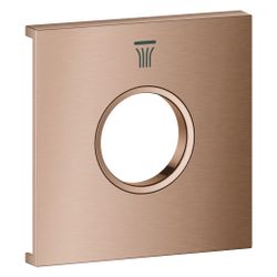 Grohe Grohtherm Aqua Tiles Metallplatte, Symbol Kopfbrause 6, für Grohtherm Aqua Tile... GROHE-107174DL00 4067393075790 (Abb. 1)