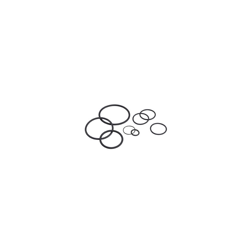 Grünbeck Dichtungssatz zu Kombi-Rückspülfilter GENO-jet, Astro HWS... GRUENBECK-108614 4031246001984 (Abb. 1)
