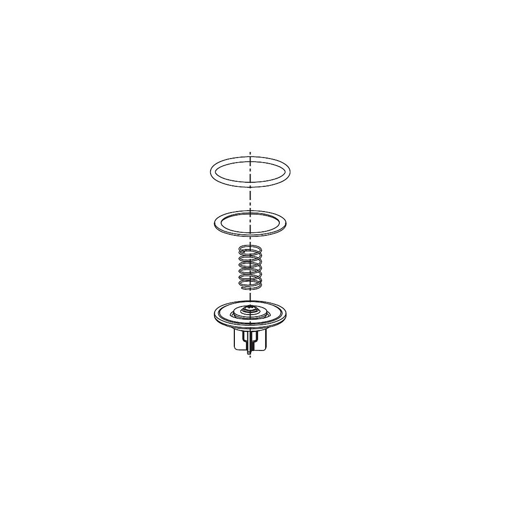 Grünbeck Membranventil mit Dichtung, 70 Shore V2, 2 Stück... GRUENBECK-187666e 4031246741910 (Abb. 1)