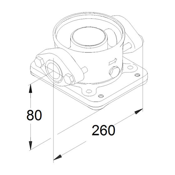 Grundfos Ovalflansch CRN10,15,20 Rp 2