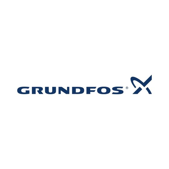 GRUNDFOS Zubehör für vertikale Kreiselpumpen Ovalflanschsatz Rp 1 1//4 Grauguß