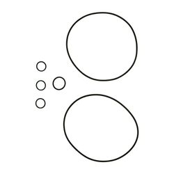 Grundfos Dichtung Viton für CR(I/N)1s/1/3/5, 96455091... GRUNDFOS-96455091 5700394403337 (Abb. 1)