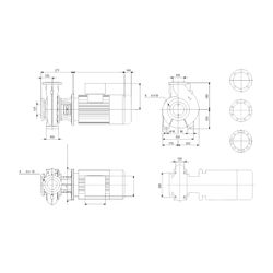Grundfos Blockpumpe NB 40-125/116 A-F2-A-BQQE, 1420/min 0,25kW 16 bar, Förderhöhe 4,... GRUNDFOS-96787441 5700310313405 (Abb. 1)