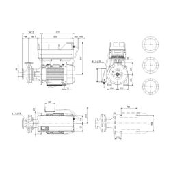 Grundfos Blockpumpe NBE 80-160/177ADSF2LESBQQERW1, 2955/min 30kW 16 bar, Förderhöhe ... GRUNDFOS-92942778 5715121912983 (Abb. 1)
