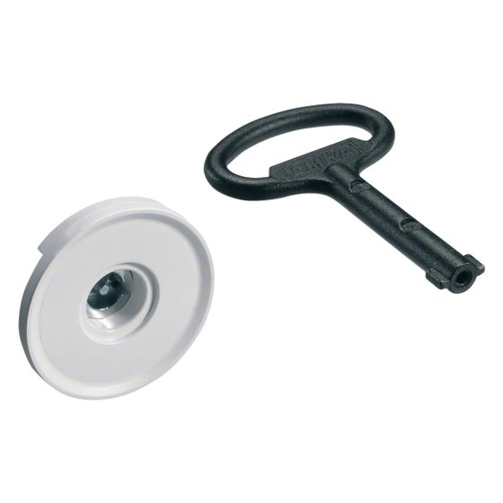 hager Schließung, univers, Doppelbart, 3mm, mit 1 Schlüssel, für Schrank IP44/54