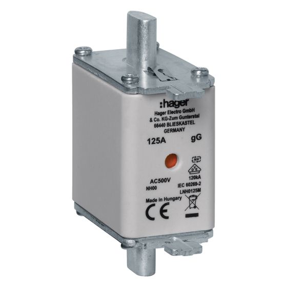 hager NH-Sicherungseinsatz NH00 gG AC500V 125A Kombi-Melder mit Metall-Grifflasche