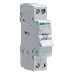 hager Gruppenschalter 25A 1 Schließer 230V AC 1PLE... HAGER-SFB125 3250615510754 (Abb. 1)