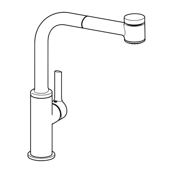 Hansa Ronda Einhebel-Küchenarmatur, 2-strahlig, Ausladung 221mm, DN 15, Chrom, 54912283