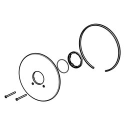 Hansa Rosette, Durchmesser 205mm, Chrom, 59911969... HANSA-59911969 4015474033764 (Abb. 1)