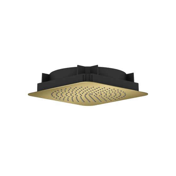 Hansgrohe AXOR Citterio C Kopfbrause 270x270mm, 1jet, PowderRain Deckenintegriert, Brushed Brass