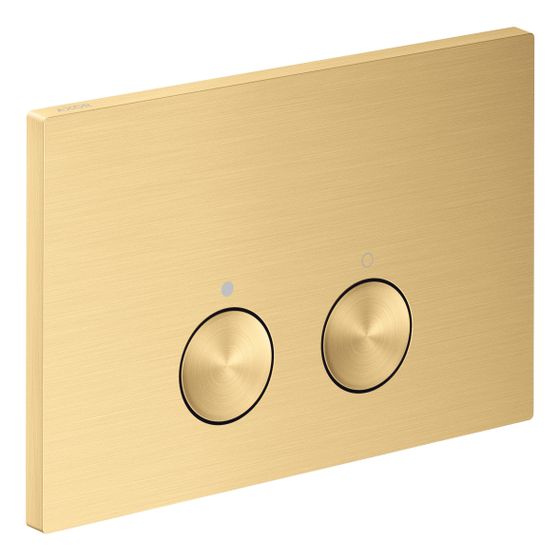 Hansgrohe AXOR FlushPlate Drückerplatte 164x246x12mm für Geberit Sigma, Brushed Gold Optic