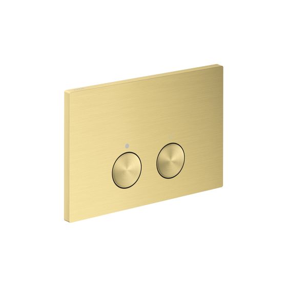 Hansgrohe AXOR FlushPlate Drückerplatte 164x246x12mm für Geberit Sigma, Brushed Brass