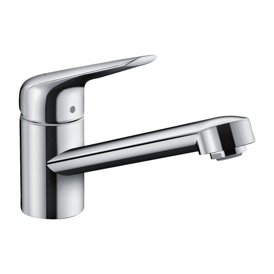 hansgrohe Spültischmischer 100 Focus M42 Eco CoolStart 1jet chrom