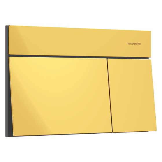 Hansgrohe iFrame Element E Betätigungsplatte für 2-Mengen-Spülung, Metall, mechanisch, Polished Gold Optic