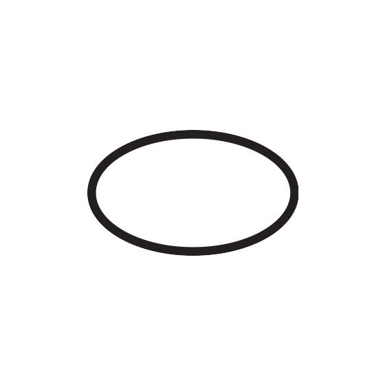 Hansgrohe O-Ring 25x1,5mm EPDM 70 IRHD, 98146000