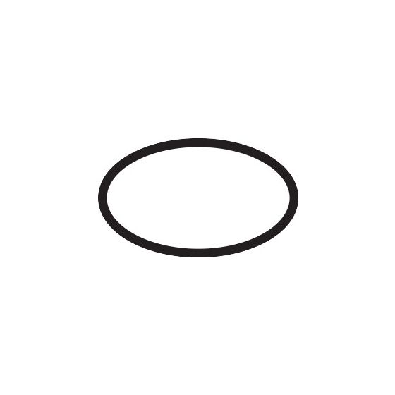Hansgrohe O-Ring 21mm,95x1mm,78mm EPDM 70 IRHD, 95169000