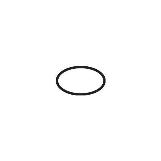 Hansgrohe O-Ring 21x1,5mm EPDM 70 IRHD, 98219000