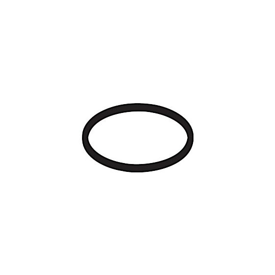Hansgrohe O-Ring 34x2mm, 98383000