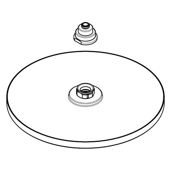 Hansgrohe Tellerkopfbrause Raindance 240mm für Raindance Showerpipe/Connect, 98855000