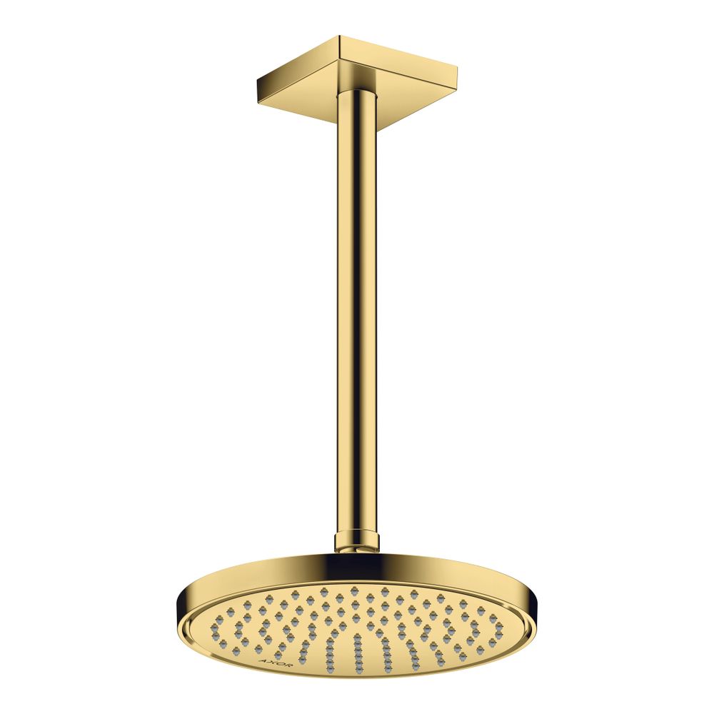 Hansgrohe AXOR ShowerSolutions Kopfbrause 220mm, 5,6l/min, 1jet EcoSmartPlus, Polis... HANSGROHE-35388990 4059625415115 (Abb. 7)